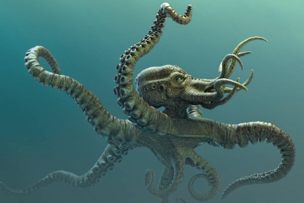 Ссылка на кракен тор kraken014 com